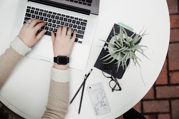 person using laptop computer beside aloe vera