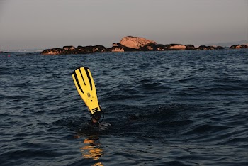 Person Using Yellow Flipper