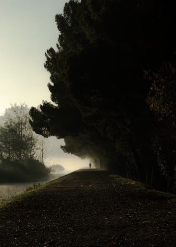 Person Walking Alone