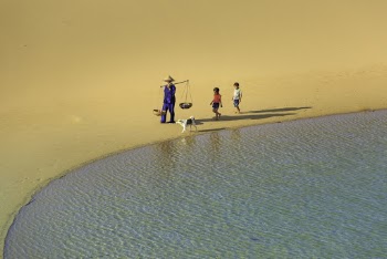 Person Walking Beside Dog and Children
