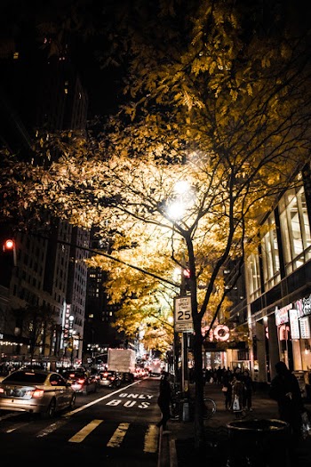 Person Walking Beside Road during Nighttime