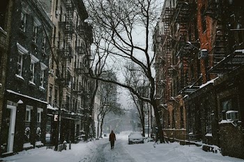 person walking between buildings near withered tree