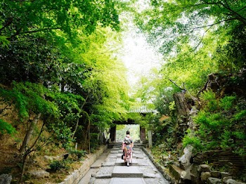 Person Walking Between Trees
