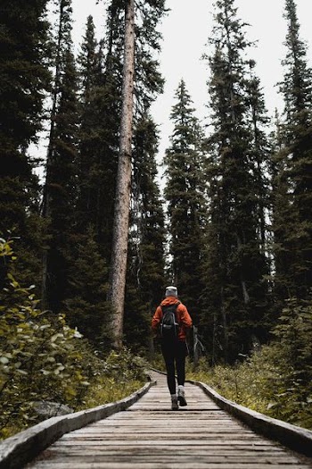 person walking facing backwards