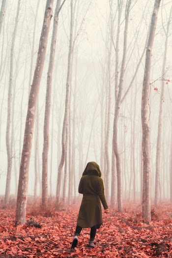 Person Walking in Foggy Forest