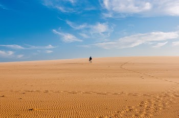 Person Walking In The Desert