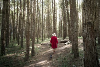 Person Walking in the Woods