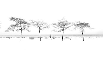 Person Walking Near Trees