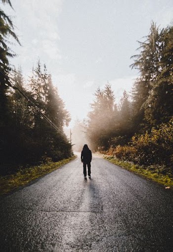 person walking on asphalt road surrounded by trees under blue sky during daytime