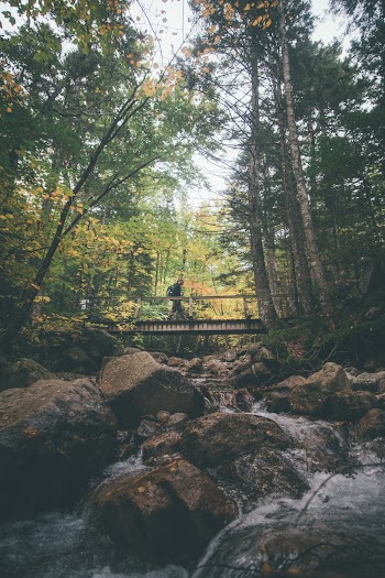Person Walking on Bridge and Waterfalls Scenery