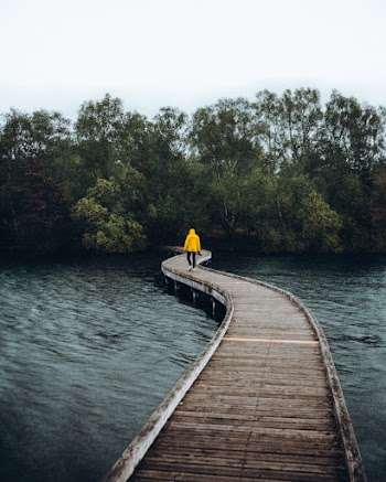 Person Walking on Brown Wooden Bridge