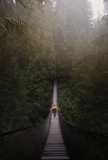 person walking on brown wooden bridge near green tall tress during daytime