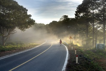 Person Walking on Foggy Road