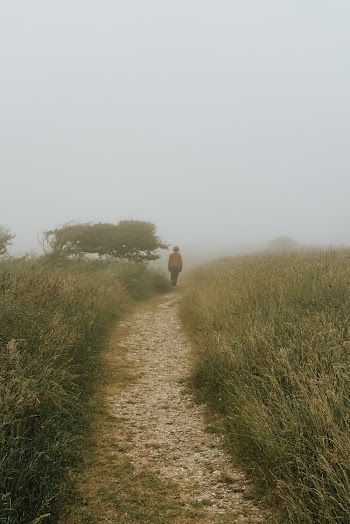 Person Walking on Footpath Beside Grass Field