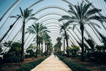 person walking on gray pathway near trees