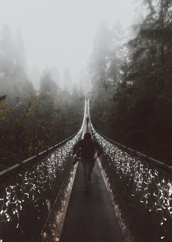 person walking on pathway