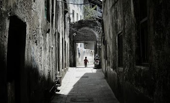person walking on pathway
