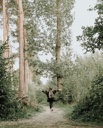 Person Walking On Pathway Near Trees 