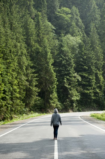 Person Walking on Road Near Trees