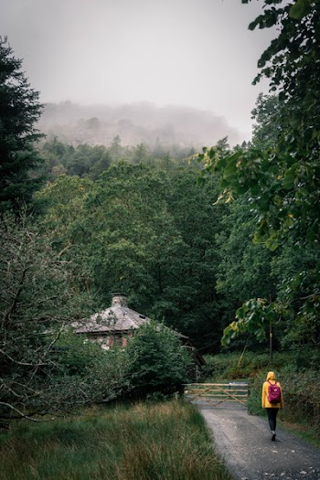 Person Walking on Rural Road
