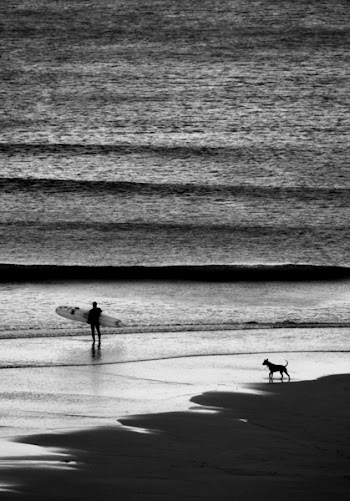 Person Walking on Shore While Holding Surfboard Near Dog Standing on Shoreline Grayscale Photography