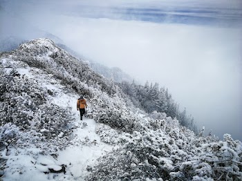 Person Walking on Snow Field