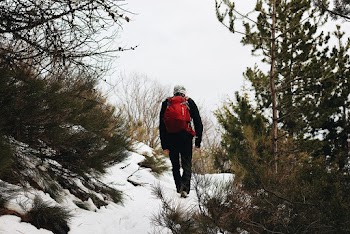 Person Walking on Snowy Ground Beside Trees