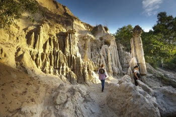 Person Walking on Terrain