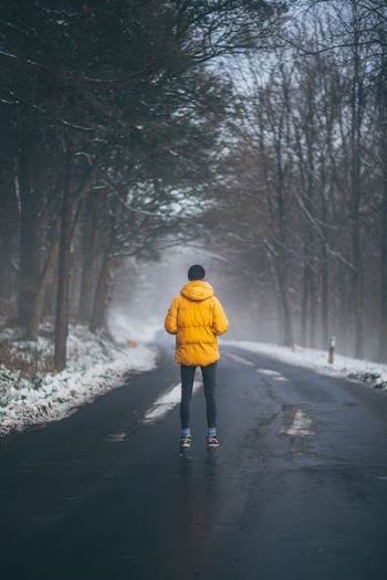 person walking towards trees