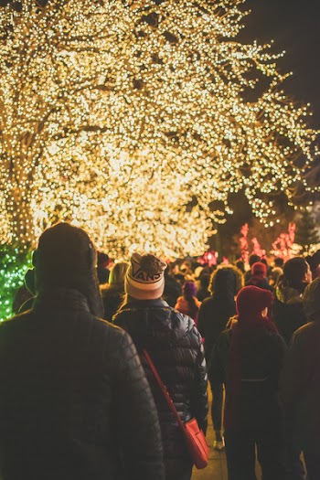 Person Walks Outdoor during Night