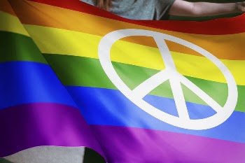 Person waving rainbow flag with peace | Free Photo - rawpixel