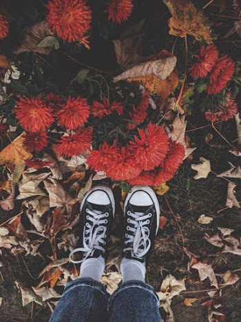 Person Wearing Black and White Shoes