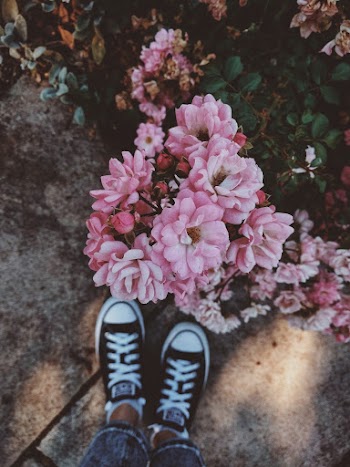 Person Wearing Black-and-white Sneakers Standing in Front of Pink Flowers