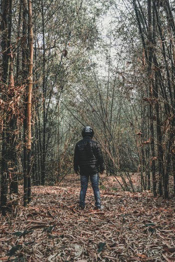 Person Wearing Black Bubble Jacket and Blue Jeans