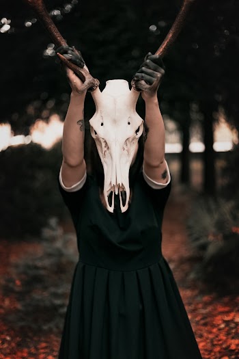 Person Wearing Black Dress While Holding Skull Mask With Horns