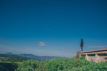 Person Wearing Black Hoodie Standing Near Cliff Above Green Leaf Plants