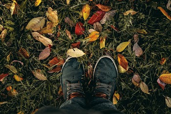 Person Wearing Black Lace-up Sneakers Standing on Green Grass With Fallen Leaves
