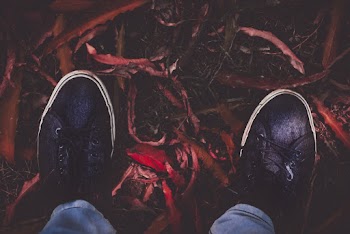 Person Wearing Black Shoes