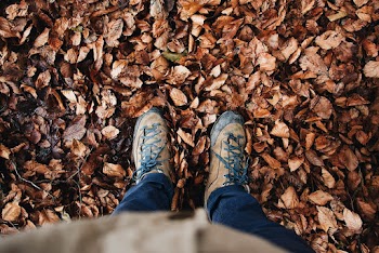 Person Wearing Blue Denim Jeans and Brown Shoes 