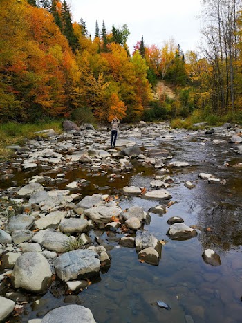 Person Wearing Blue Pants Standing on Rocks Across Green and Orange Trees