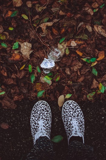 Person Wearing Brown-and-white Leopard Print Shoes Standing on Ground Near Brown and Green Leaves