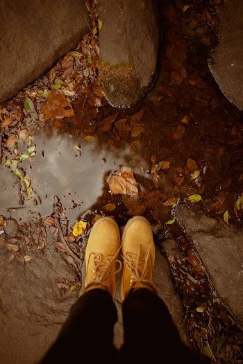 Person Wearing Brown Leather Boots