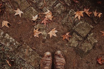 Person Wearing Brown Leather Shoes on Ground With Fallen Leaves
