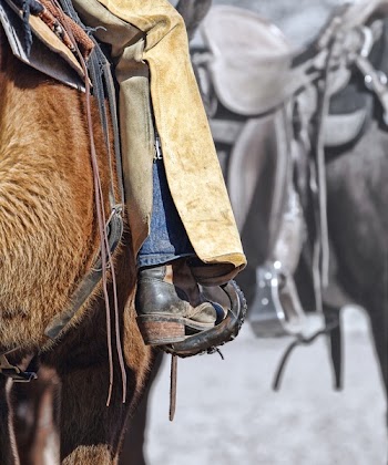 Person Wearing Cowboy Boots Riding on Horse