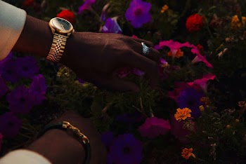 Person Wearing Gold Watch