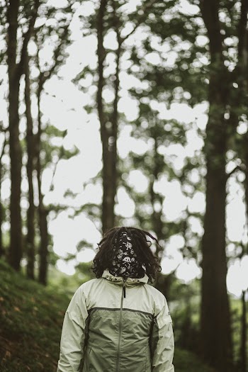 Person Wearing Grey and Beige Jacket Near Trees