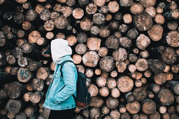 Person Wearing Hoodie Near Pile Of Logs