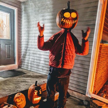 Person Wearing Jack O'lantern Face Disguise