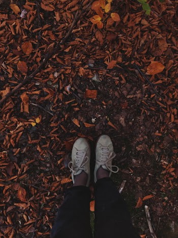 Person Wearing Lace-up Sneakers