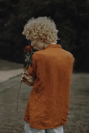 Person Wearing Orange Dress Shirt Holding Red Rose